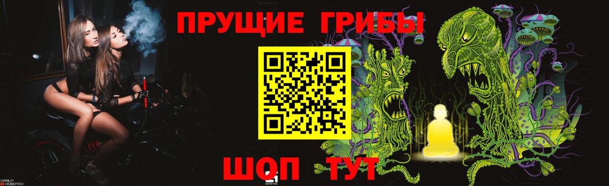 Псилоцибиновые грибы Psilocybine cubensis Тольятти