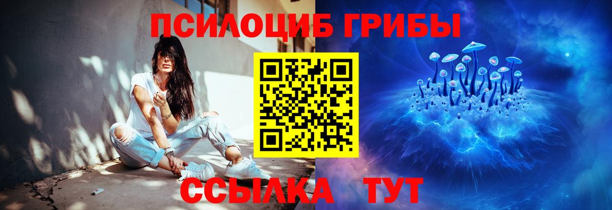 Тольятти  Галлюциногенные грибы MAGIC MUSHROOMS  Вход с VPN  Псилоцибиновые грибы прущие грибы 